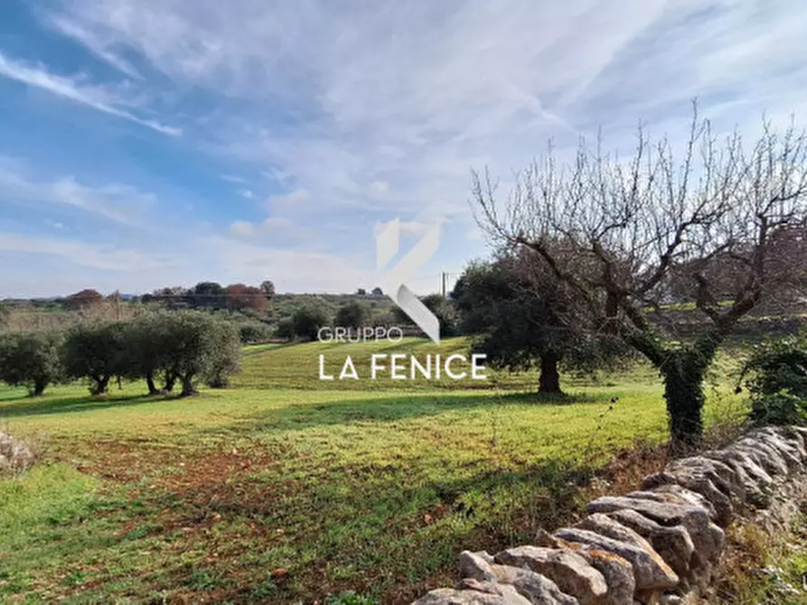 Immagine 7 di Terreno in vendita  in contrada Monte Tre Carlini a Martina Franca