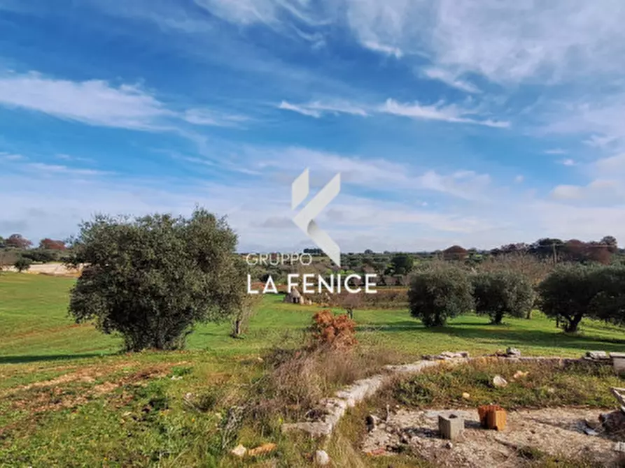 Immagine 8 di Terreno in vendita  in contrada Monte Tre Carlini a Martina Franca