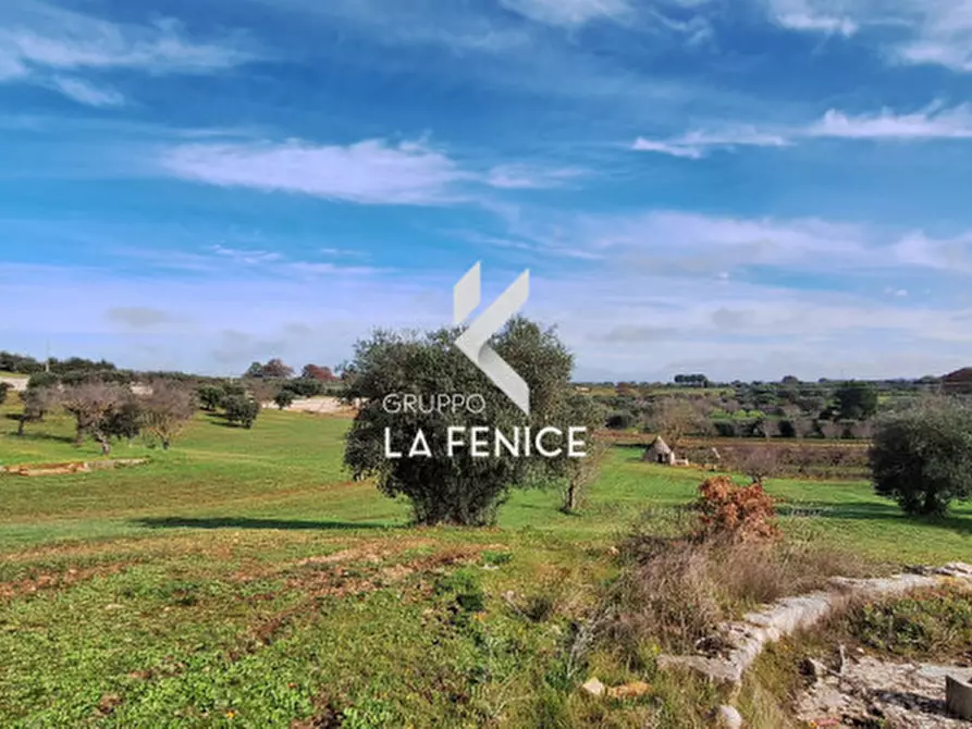 Immagine 9 di Terreno in vendita  in contrada Monte Tre Carlini a Martina Franca
