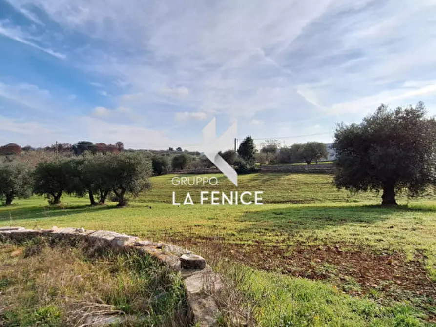 Immagine 10 di Terreno in vendita  in contrada Monte Tre Carlini a Martina Franca