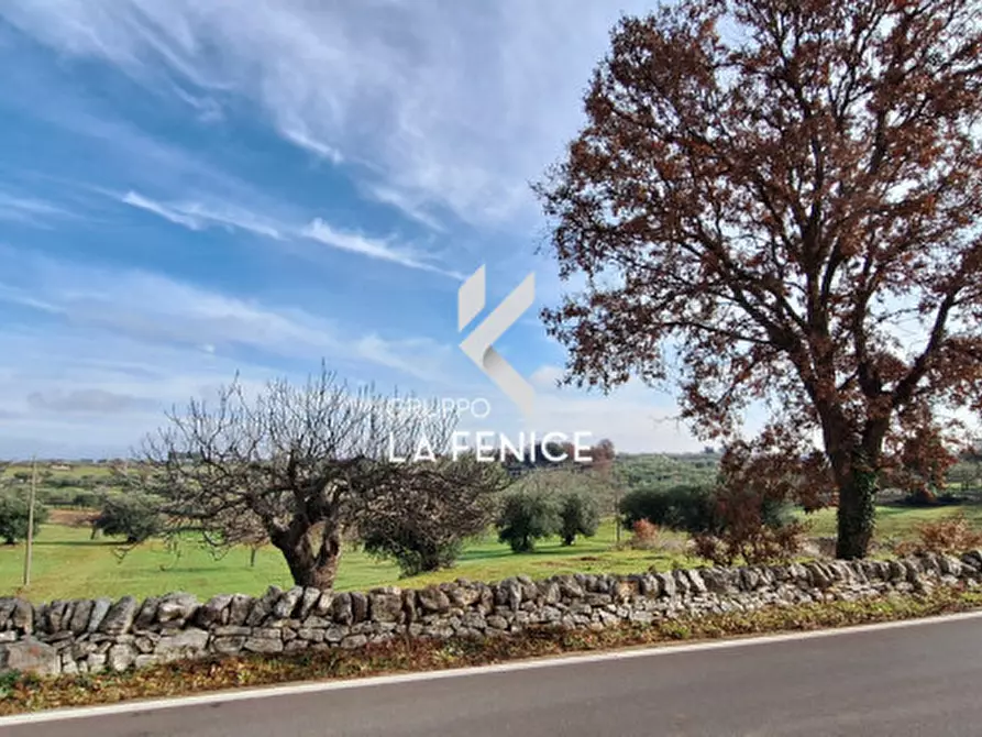 Immagine 11 di Terreno in vendita  in contrada Monte Tre Carlini a Martina Franca