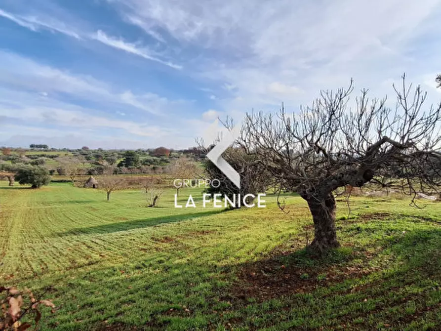 Immagine 12 di Terreno in vendita  in contrada Monte Tre Carlini a Martina Franca