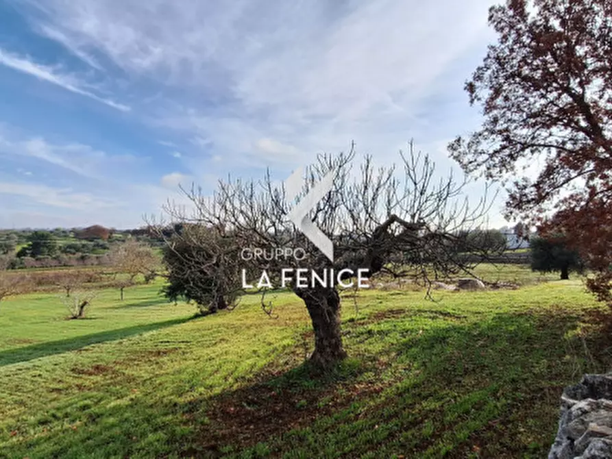 Immagine 13 di Terreno in vendita  in contrada Monte Tre Carlini a Martina Franca