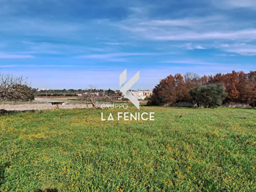 Immagine 14 di Terreno in vendita  in contrada Monte Tre Carlini a Martina Franca