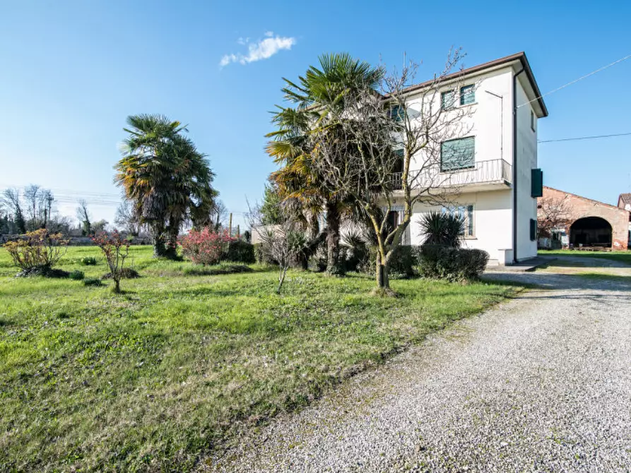 Immagine 1 di Casa indipendente in vendita  in via borgo padova a Camposampiero