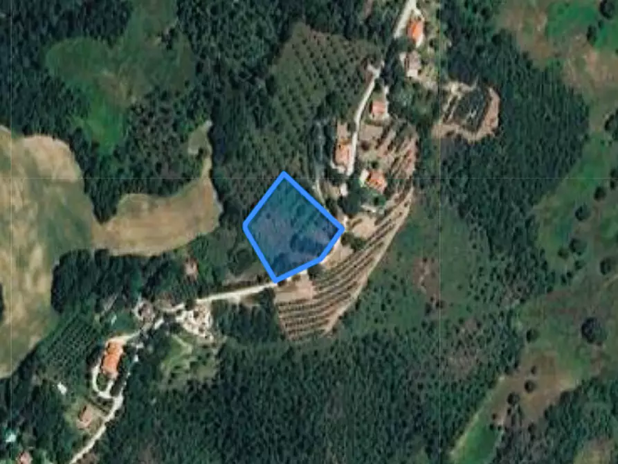 Immagine 2 di Terreno in vendita  a Umbertide
