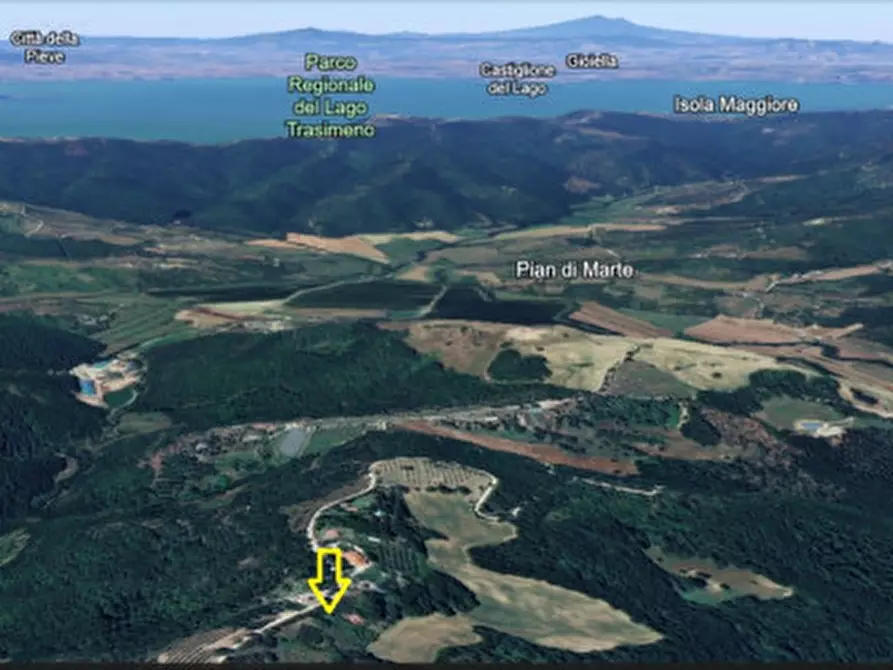 Immagine 3 di Terreno in vendita  a Umbertide