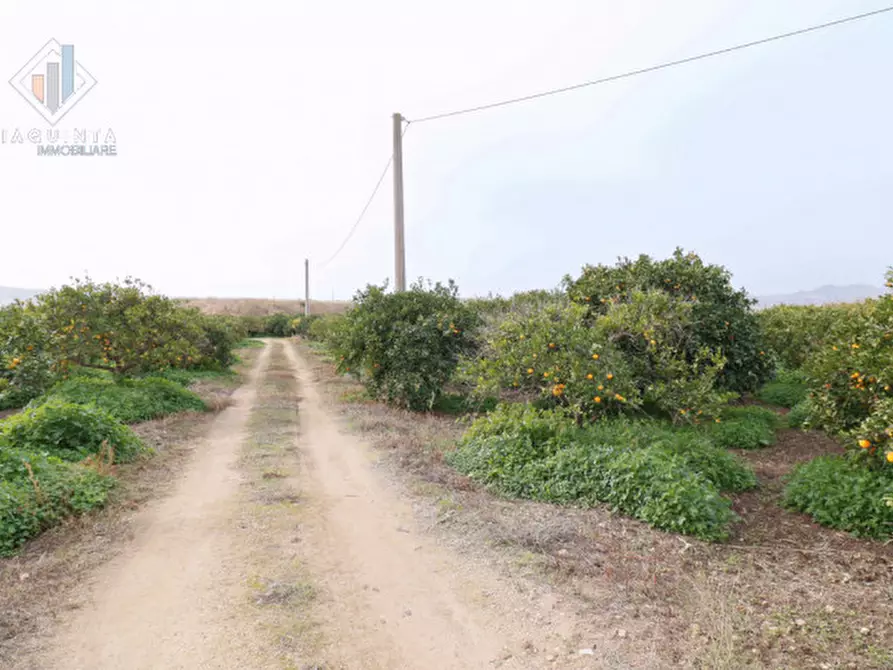 Immagine 3 di Terreno in vendita  in c.da Ficuzza Santa Barbara snc a Mineo