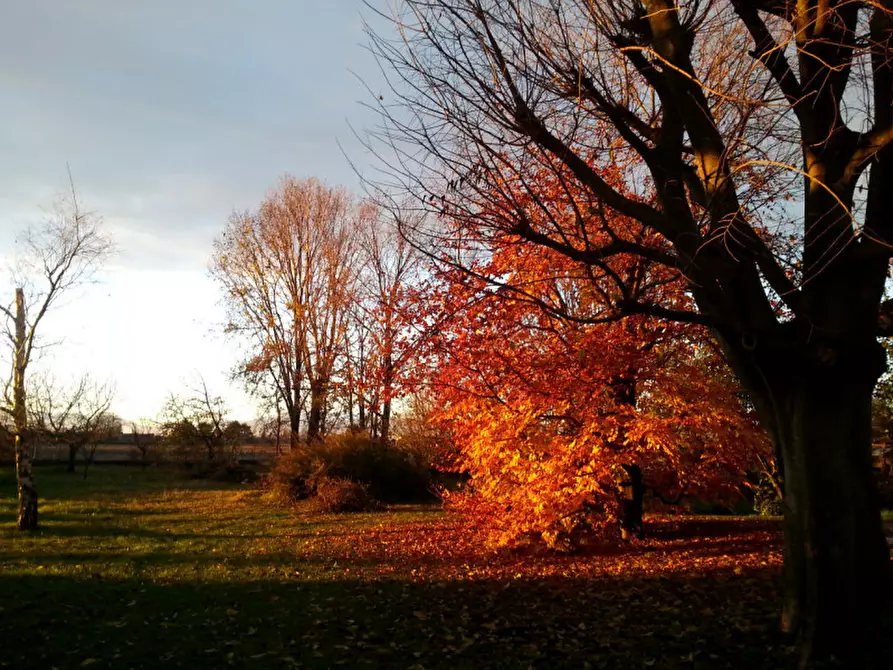 Immagine 37 di Casa indipendente in vendita  a Spresiano
