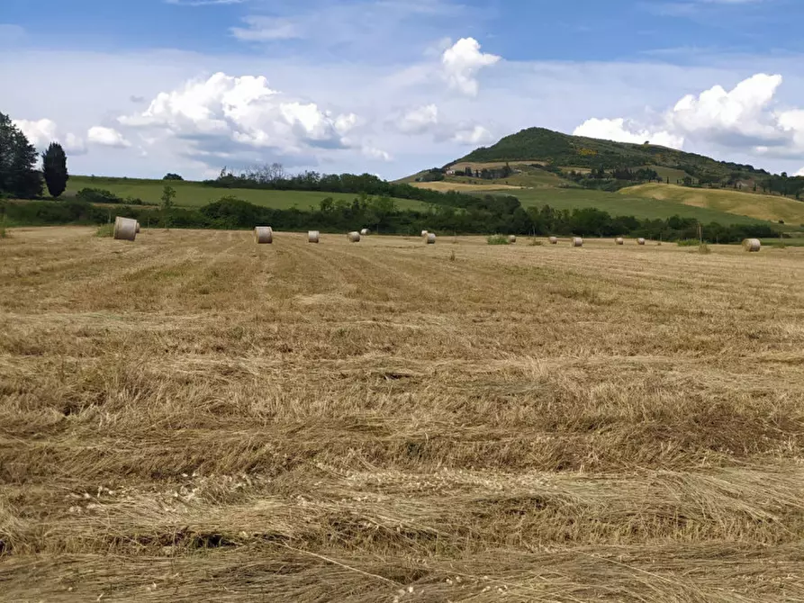 Immagine 2 di Terreno in vendita  in località Podere il Gattinetto a San Casciano Dei Bagni