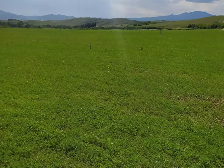 Immagine 3 di Terreno in vendita  in località Podere il Gattinetto a San Casciano Dei Bagni