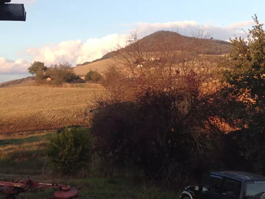 Immagine 4 di Terreno in vendita  in località Podere il Gattinetto a San Casciano Dei Bagni
