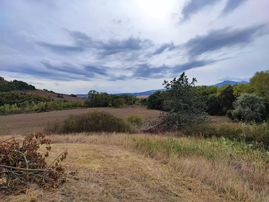 Immagine 7 di Terreno in vendita  in località Podere il Gattinetto a San Casciano Dei Bagni