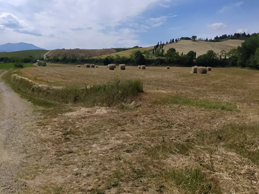 Immagine 8 di Terreno in vendita  in località Podere il Gattinetto a San Casciano Dei Bagni