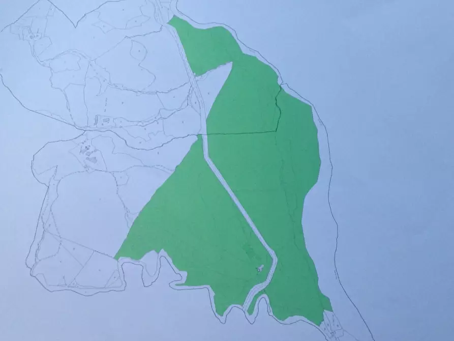 Immagine 9 di Terreno in vendita  in località Podere il Gattinetto a San Casciano Dei Bagni