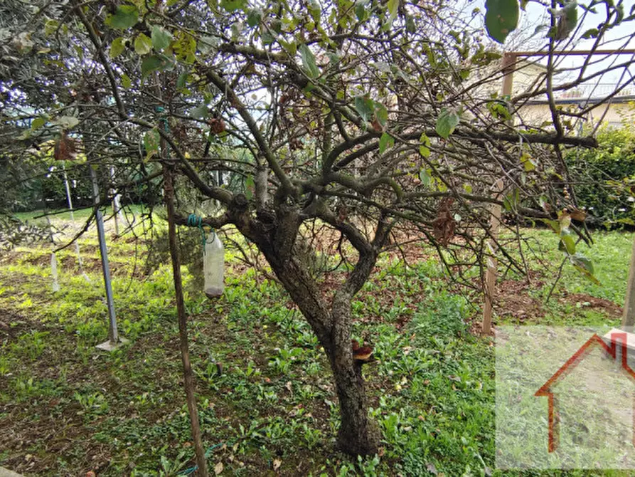 Immagine 25 di Casa trifamiliare in vendita  in Via Longhin a Giavera Del Montello