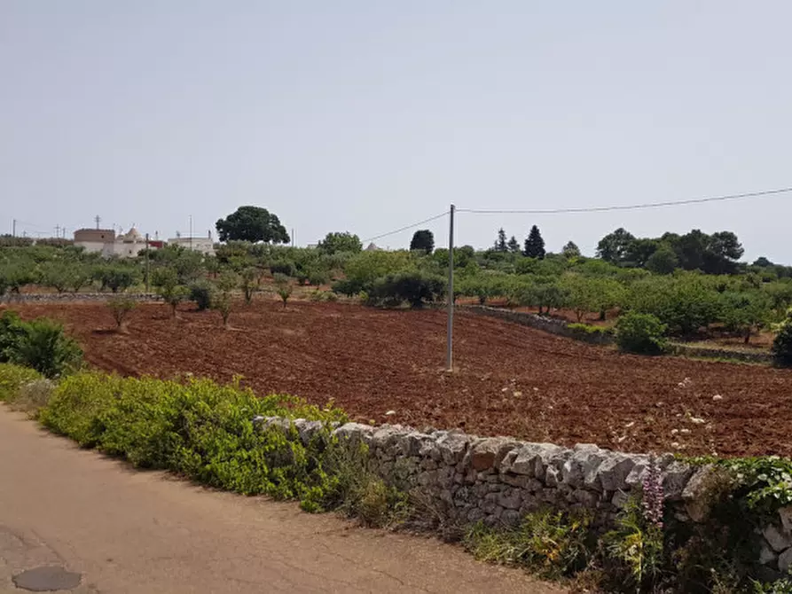 Immagine 1 di Terreno in vendita  in contrada Nunzio a Locorotondo