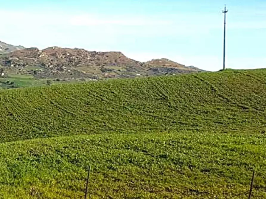 Immagine 2 di Terreno in vendita  in Contrada Petteruta, N. Snc a Regalbuto