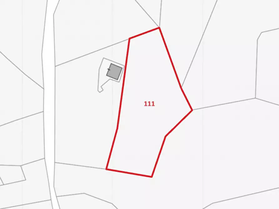 Immagine 7 di Terreno in vendita  in Contrada Petteruta, N. Snc a Regalbuto