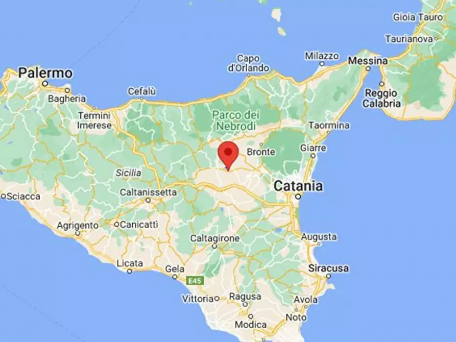 Immagine 9 di Terreno in vendita  in Contrada Petteruta, N. Snc a Regalbuto