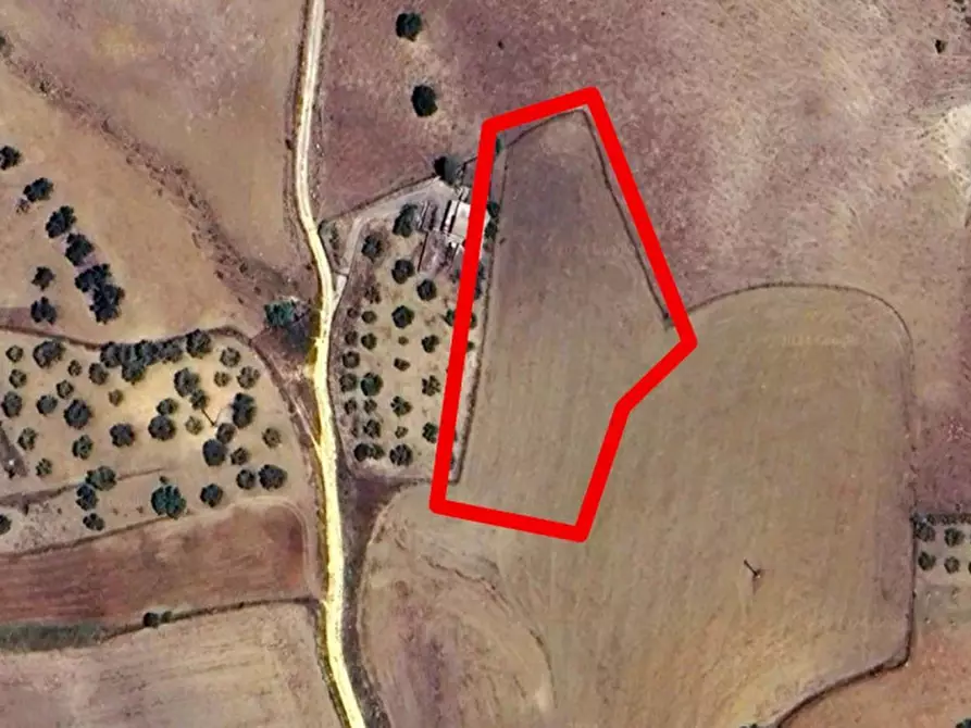 Immagine 12 di Terreno in vendita  in Contrada Petteruta, N. Snc a Regalbuto