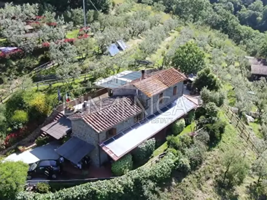 Immagine 3 di Agriturismo in vendita  a Lamporecchio