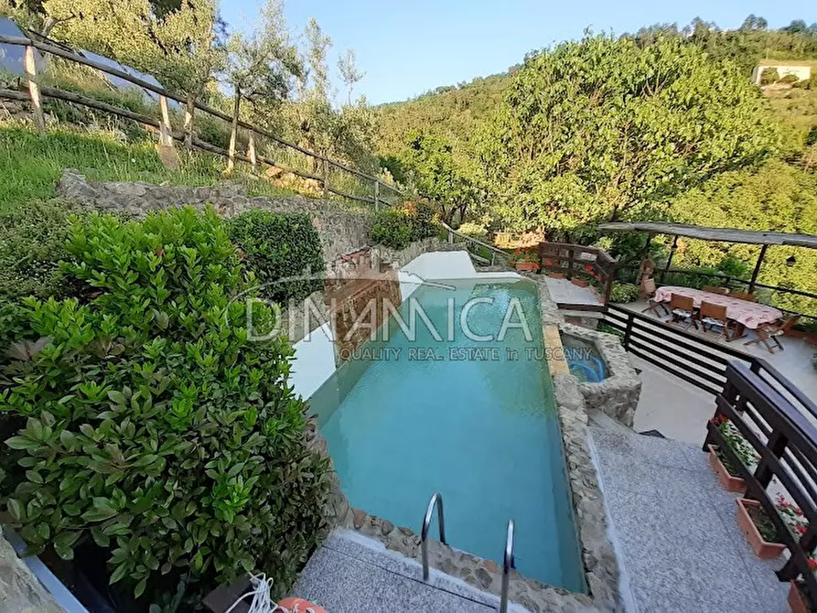 Immagine 6 di Agriturismo in vendita  a Lamporecchio