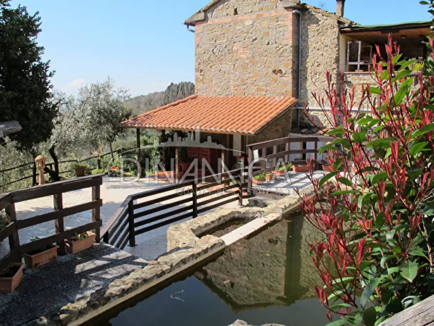 Immagine 7 di Agriturismo in vendita  a Lamporecchio