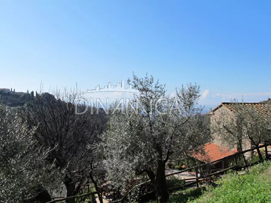 Immagine 8 di Agriturismo in vendita  a Lamporecchio