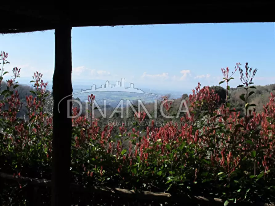 Immagine 12 di Agriturismo in vendita  a Lamporecchio