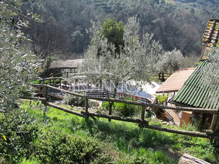Immagine 13 di Agriturismo in vendita  a Lamporecchio