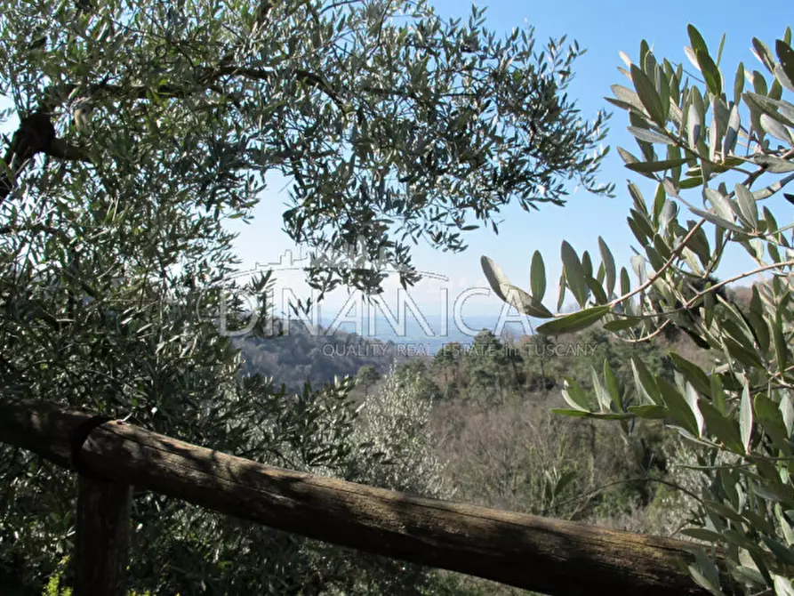 Immagine 14 di Agriturismo in vendita  a Lamporecchio