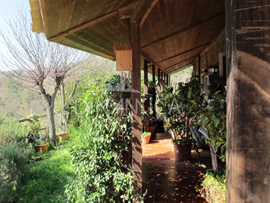 Immagine 16 di Agriturismo in vendita  a Lamporecchio