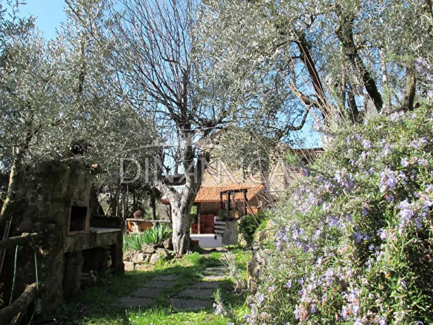 Immagine 18 di Agriturismo in vendita  a Lamporecchio
