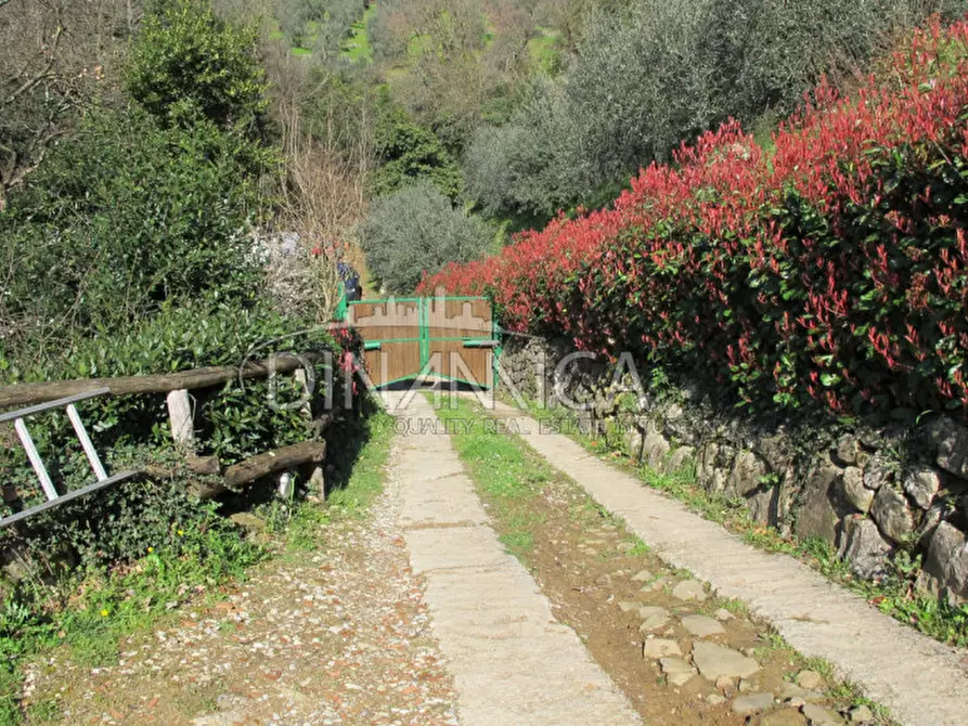 Immagine 28 di Agriturismo in vendita  a Lamporecchio