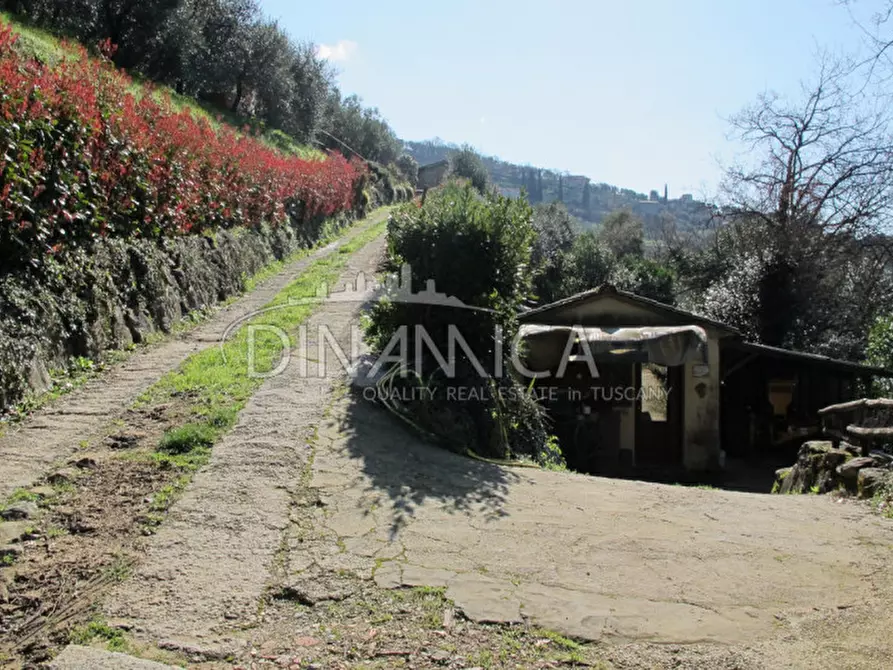 Immagine 30 di Agriturismo in vendita  a Lamporecchio