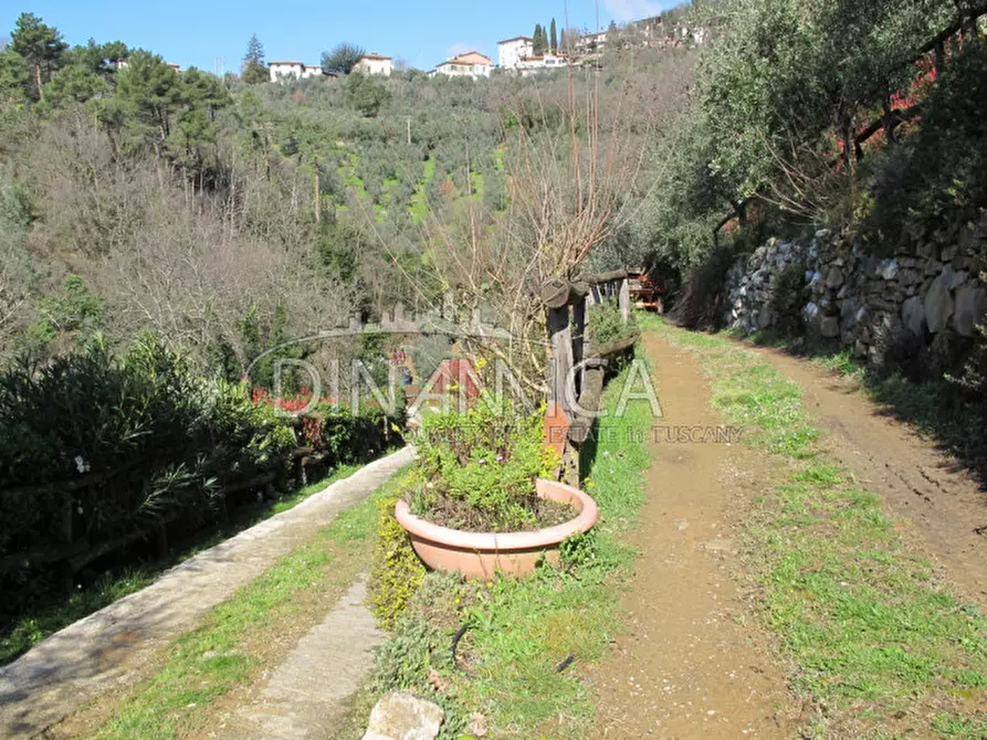 Immagine 31 di Agriturismo in vendita  a Lamporecchio