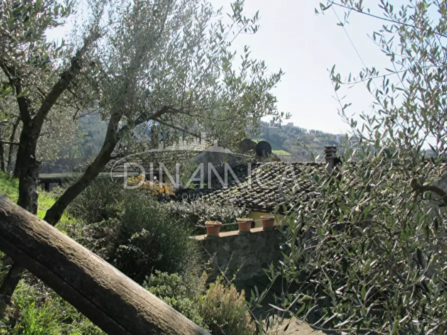 Immagine 32 di Agriturismo in vendita  a Lamporecchio