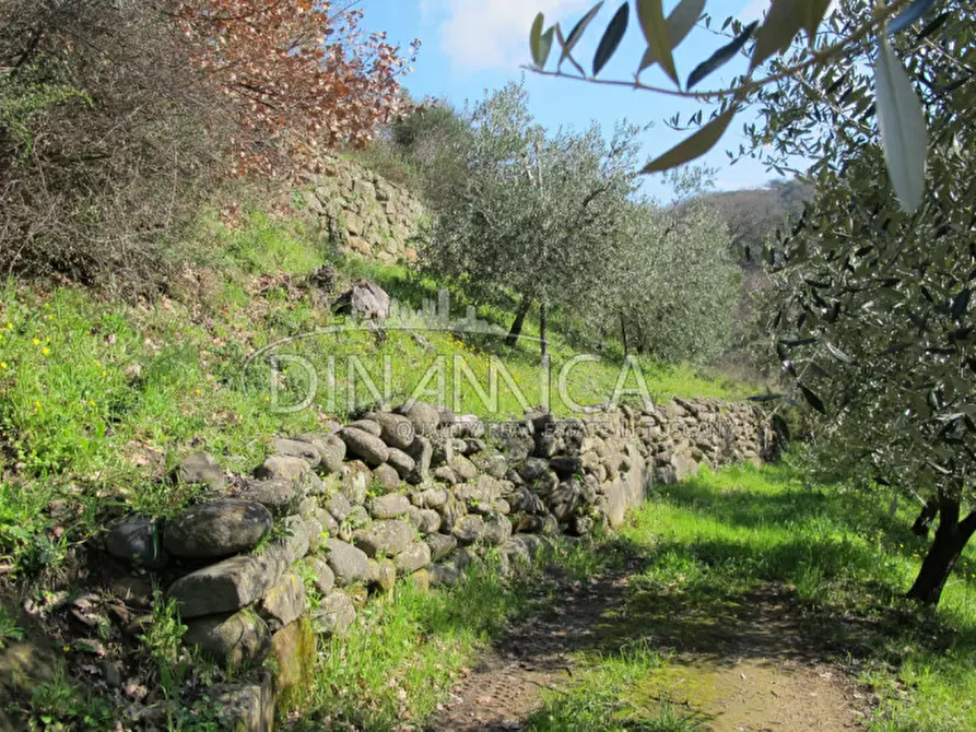 Immagine 34 di Agriturismo in vendita  a Lamporecchio