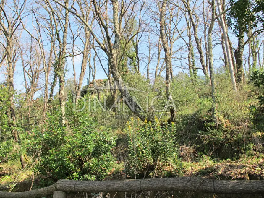 Immagine 36 di Agriturismo in vendita  a Lamporecchio