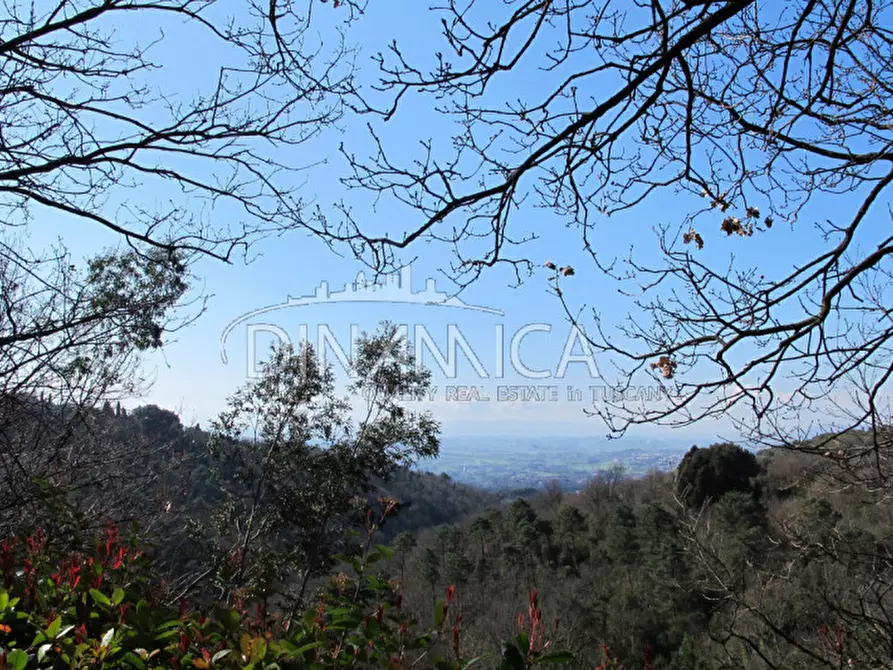 Immagine 37 di Agriturismo in vendita  a Lamporecchio