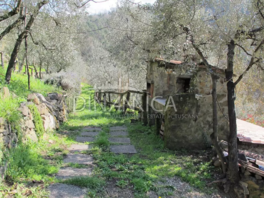 Immagine 39 di Agriturismo in vendita  a Lamporecchio