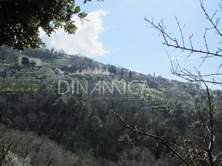 Immagine 40 di Agriturismo in vendita  a Lamporecchio