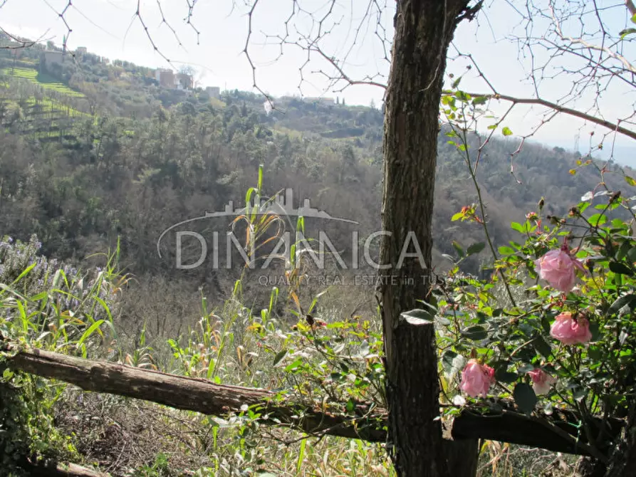 Immagine 42 di Agriturismo in vendita  a Lamporecchio