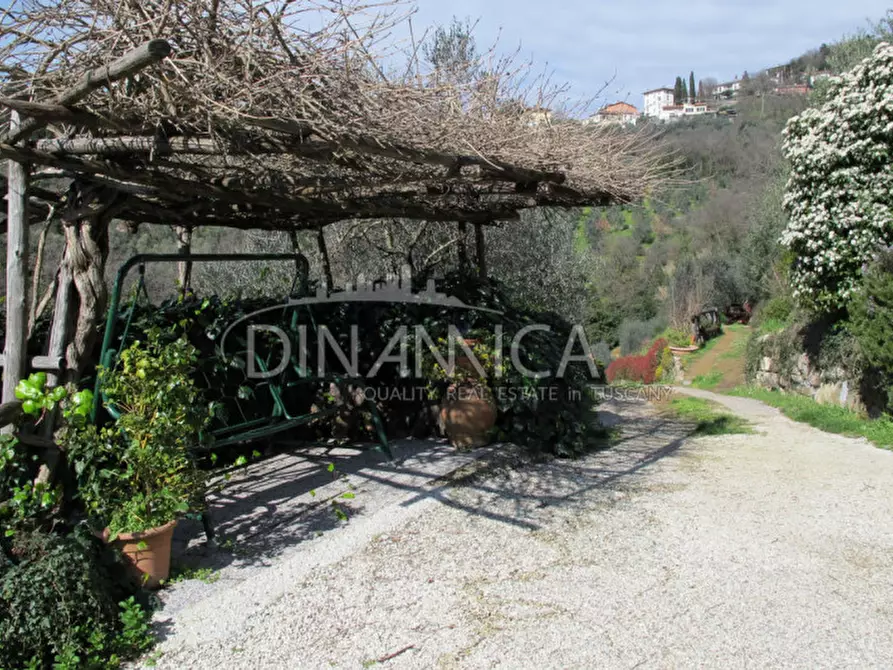 Immagine 43 di Agriturismo in vendita  a Lamporecchio