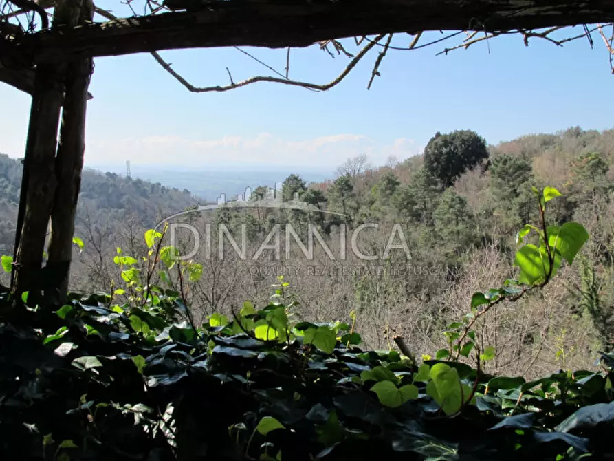 Immagine 44 di Agriturismo in vendita  a Lamporecchio