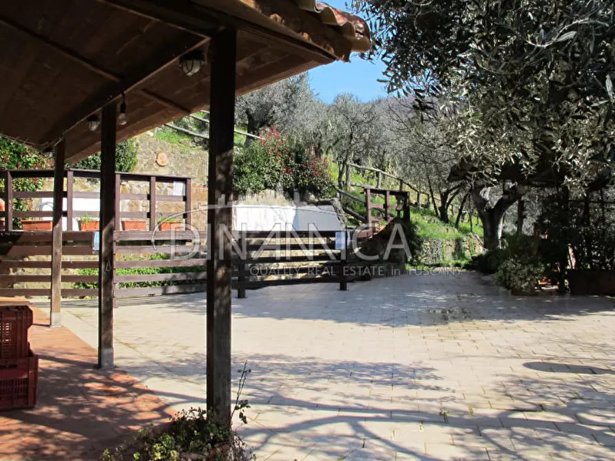Immagine 45 di Agriturismo in vendita  a Lamporecchio