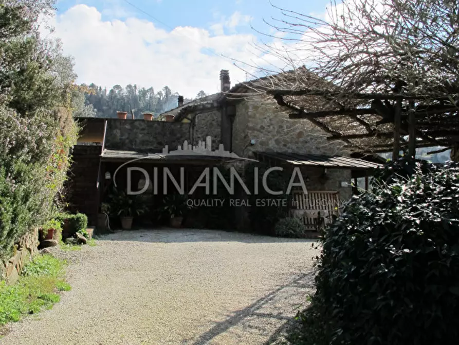 Immagine 46 di Agriturismo in vendita  a Lamporecchio