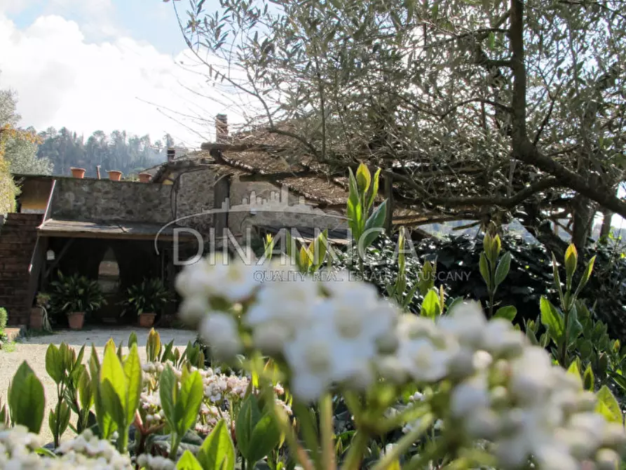 Immagine 47 di Agriturismo in vendita  a Lamporecchio