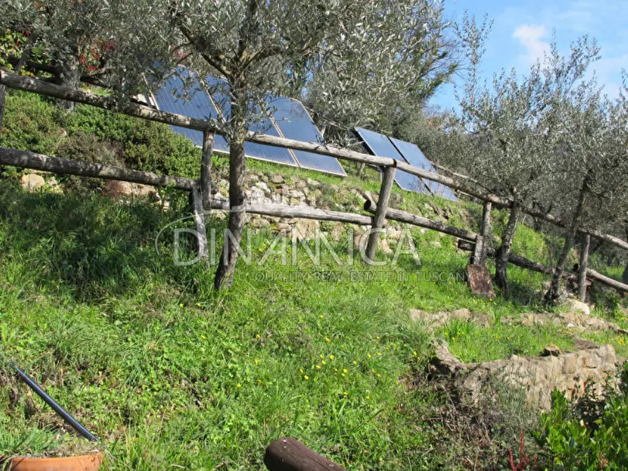 Immagine 53 di Agriturismo in vendita  a Lamporecchio